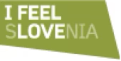i feel logo