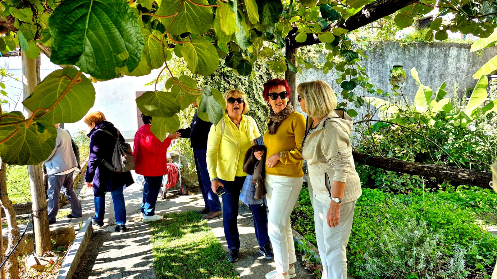 img-20251013-wa0001 img-20251013-wa0001