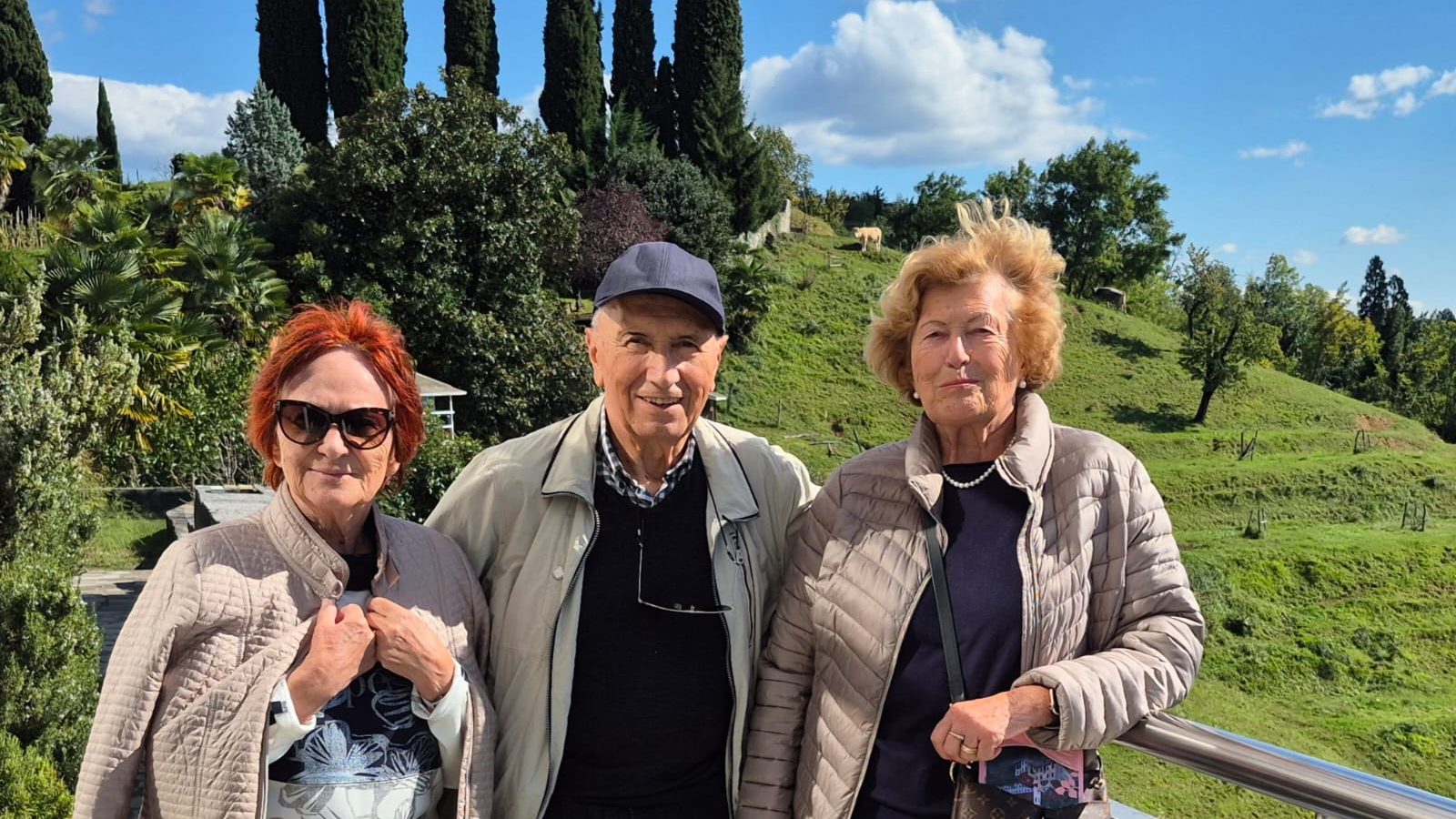 img-20251013-wa0049 img-20251013-wa0049